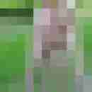 seemann0706