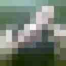 ilias