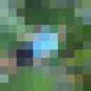 danidd