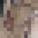 sexer93