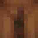 Badenser