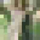 Tina1976sucht
