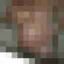 ressip53