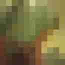 sanfter6