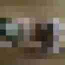 paardt