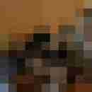 Phorus