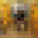 Tina_Tom