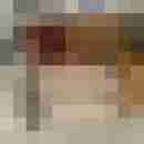 gunfight111