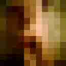 DoN_PaDrE