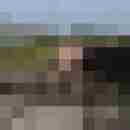 seemann0706