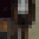 Nylonboy57