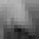 wgpdt