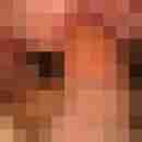 robertbilive