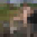 seemann0706