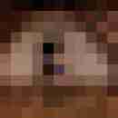 Phorus