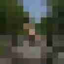 Phorus