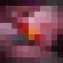 Marcel1979Ke