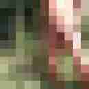 wilmadwt