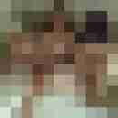 Baecker07