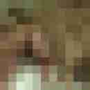 Baecker07