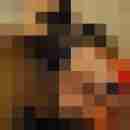 hasehase23