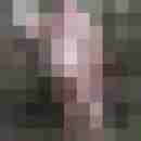 Hasele13