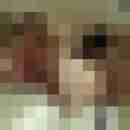 Baecker07