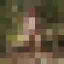 MatMax