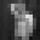 erixer