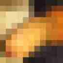 porno14281