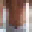 kater041