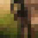 doline
