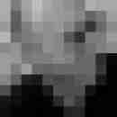rumbleinthecity