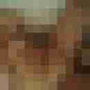 Baecker07