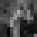 Phorus