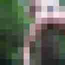 bigbull69