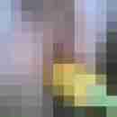 wolle08