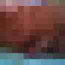 Geiler7105