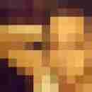 JohnDoe1981