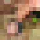 robertbilive