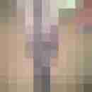 dian40