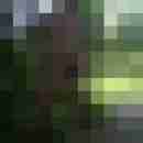 geheime_lust