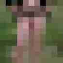 robertbilive