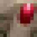 junge_herrin