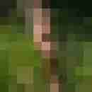 chris_iris
