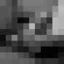 Phorus