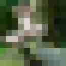 picshot