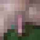 niccy67