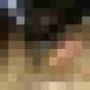 bademeister_casi