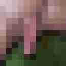niccy67